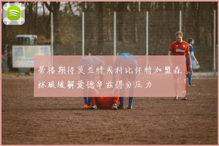 蒂格期待莫兰特或科比怀特加盟森林狼缓解爱德华兹得分压力